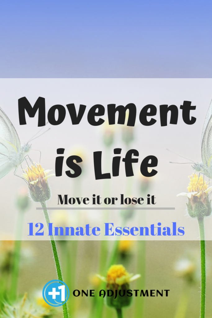 Movement Is Life One Adjustment